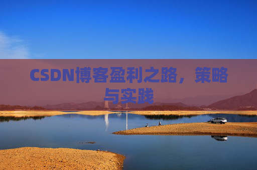CSDN博客盈利之路,策略与实践